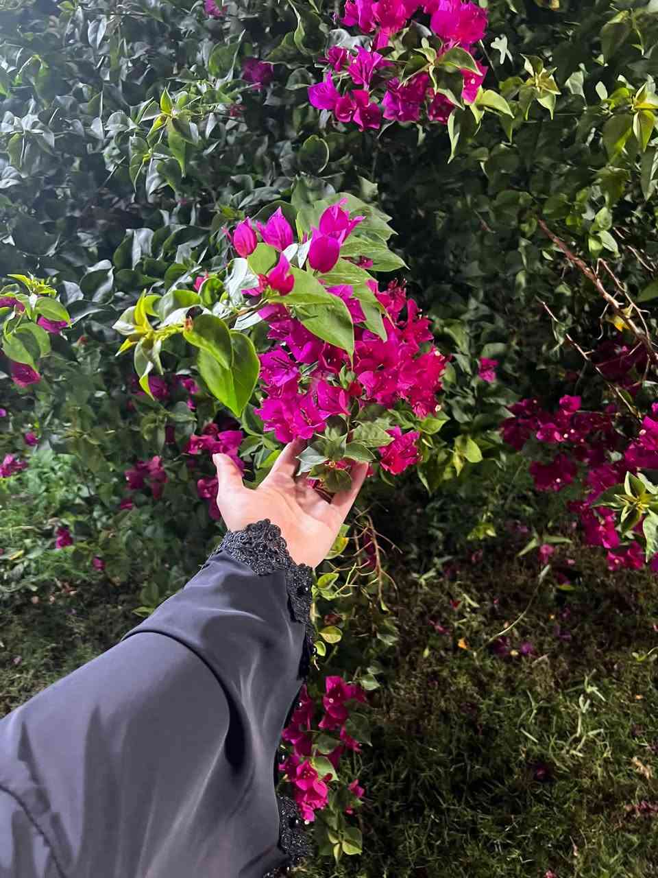الرضوانية • الشرطة الخامسه • الخميس مسائي