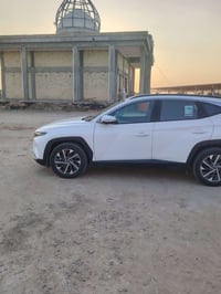 توسان • ٢٠٢٤ • مشي ١٠٠٠٠