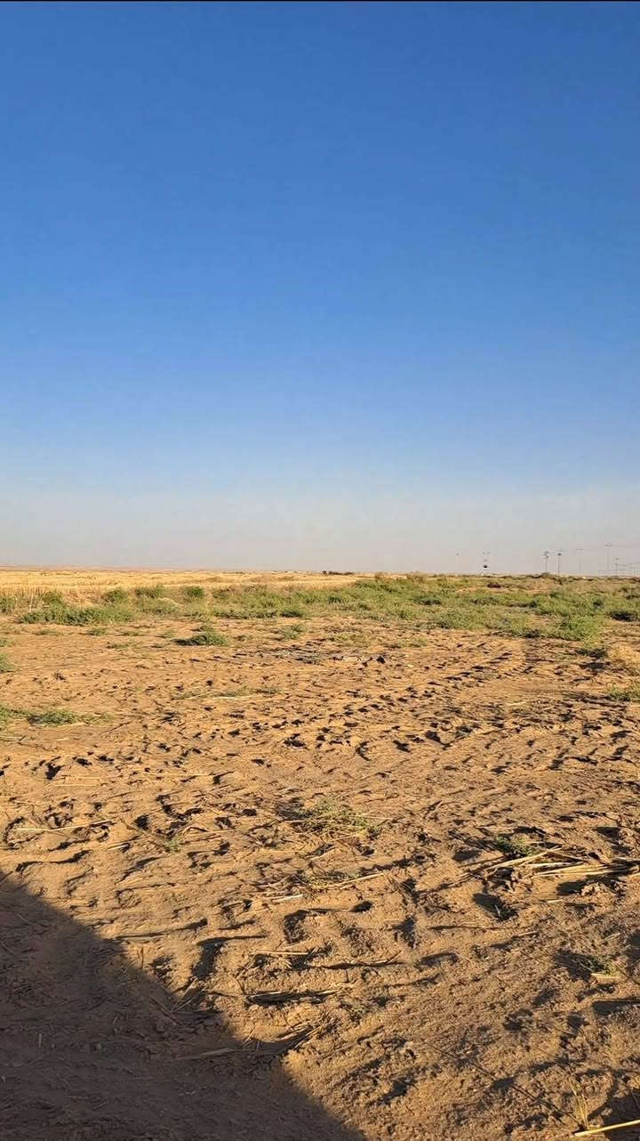 ١٠٠ دونم • عين تمر • غطاس كهرباء وطني