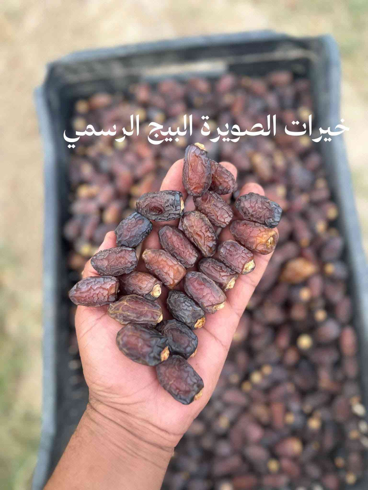 تمر بريم • درجة أولى • خيرات الصويرة