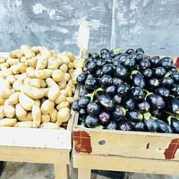 بسمايا • توصيل • علوة البركة