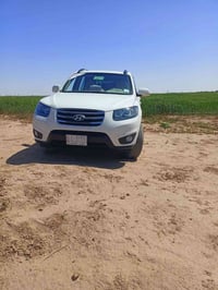 سنتافي • ٢٠١٠ • تلعفر