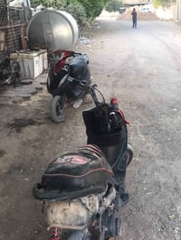 ماكس عدلة • ضفيره جديده • كوت بالعزه