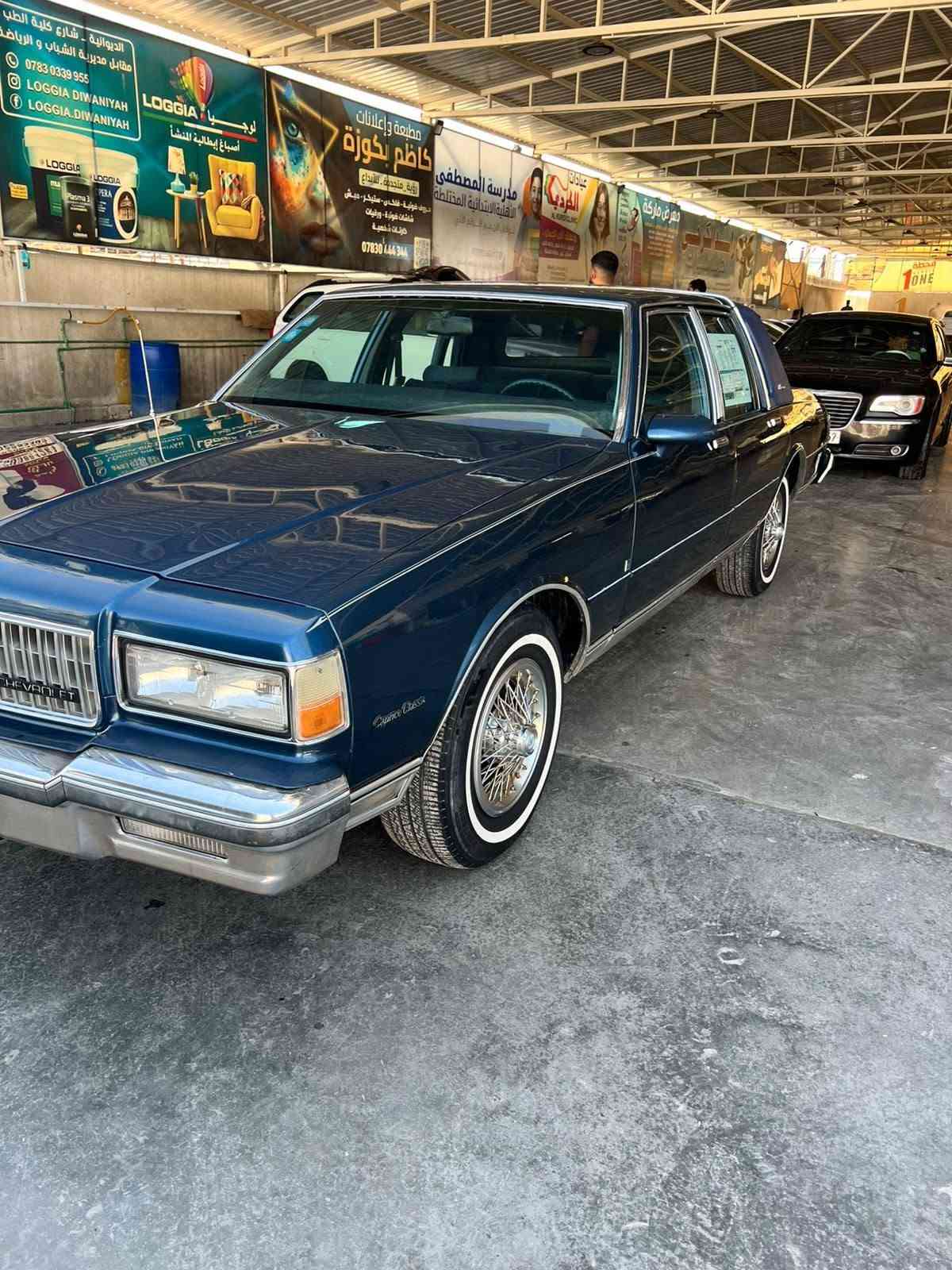 كابرس للبيع 90$ وبيهة مجال
كابرس للبيع
88
***********
