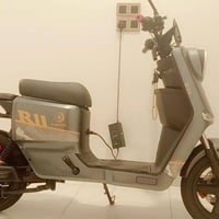 السكندريه • دراجة شحن • R11