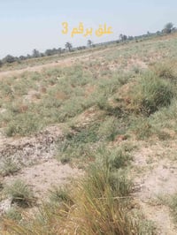 ارض زراعيه • ١٥ دونم • طابو سند ٢٥