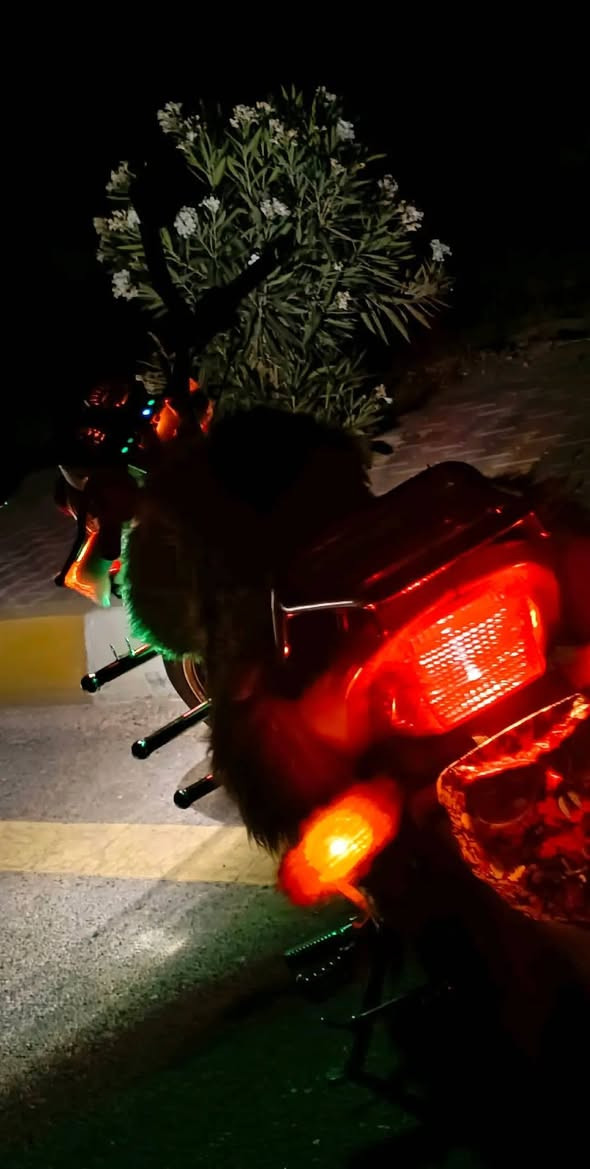 وعلى بركة الله موطور هيوشه 19 مكمرك مابي أي نقص للبيع او مراوس ب سونك 25او 26 للأستفسار ***********🖤.
