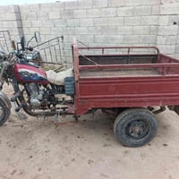 ستوته • بدون اوراق • موديل ١٢