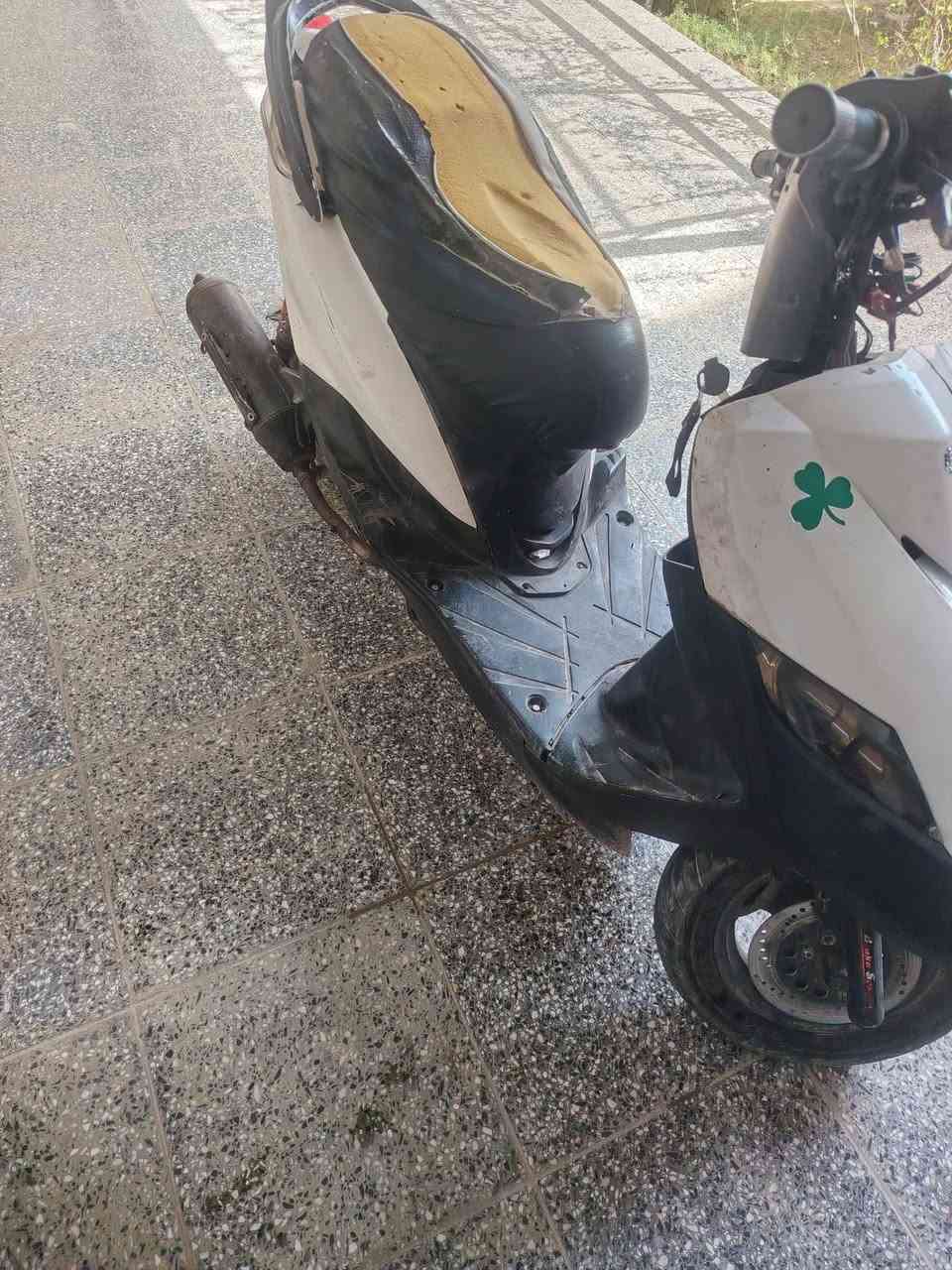 ثعلب • ١٤٠ • سلف جديد