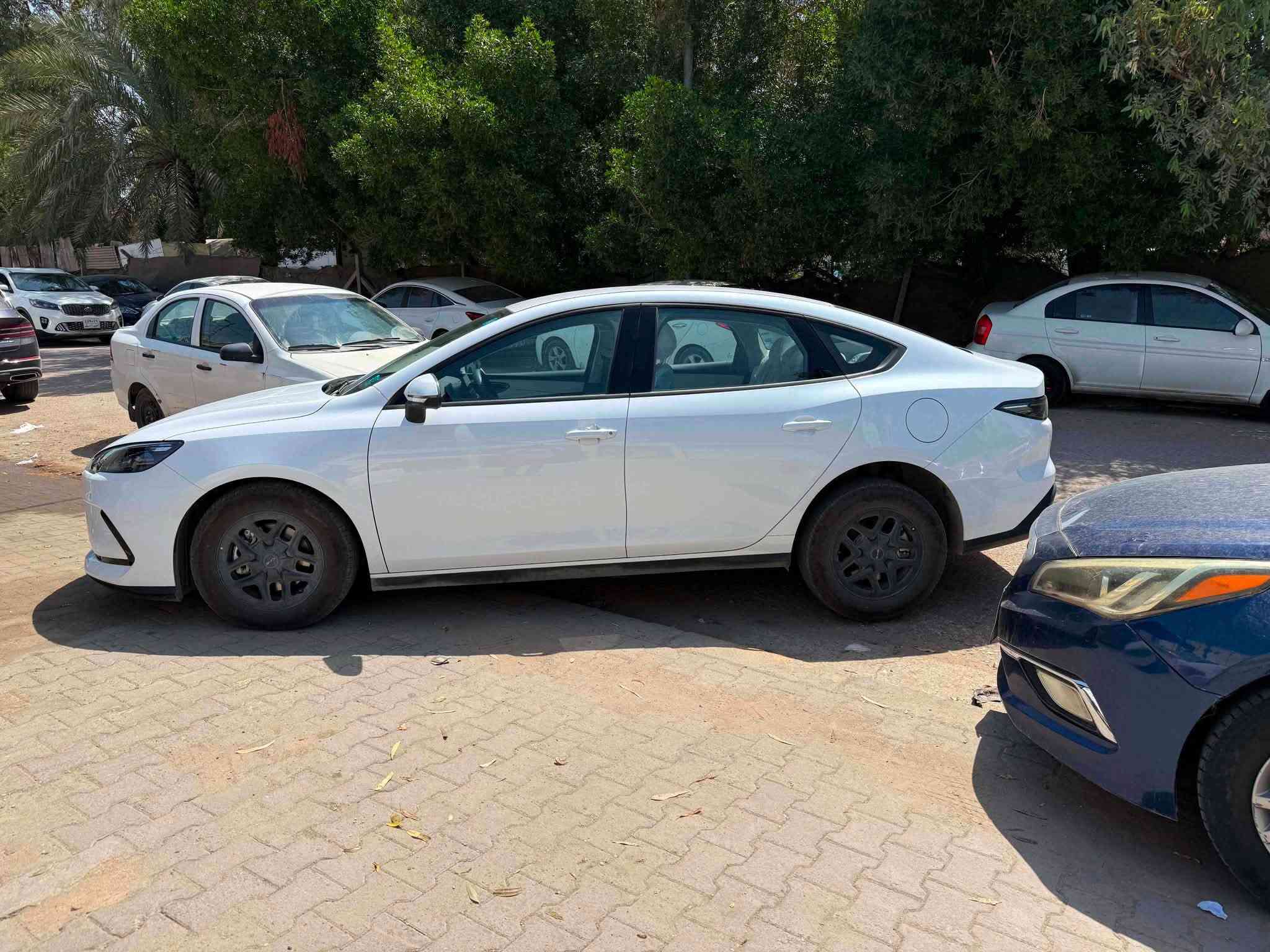 بي واي دي سيل • ٢٠٢٥ • مرقم بغداد