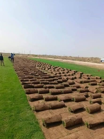 ثيل هندي درجة اولى المتر 1500المتر المربع واصل للاستفسار على الرقم ***********
***********
