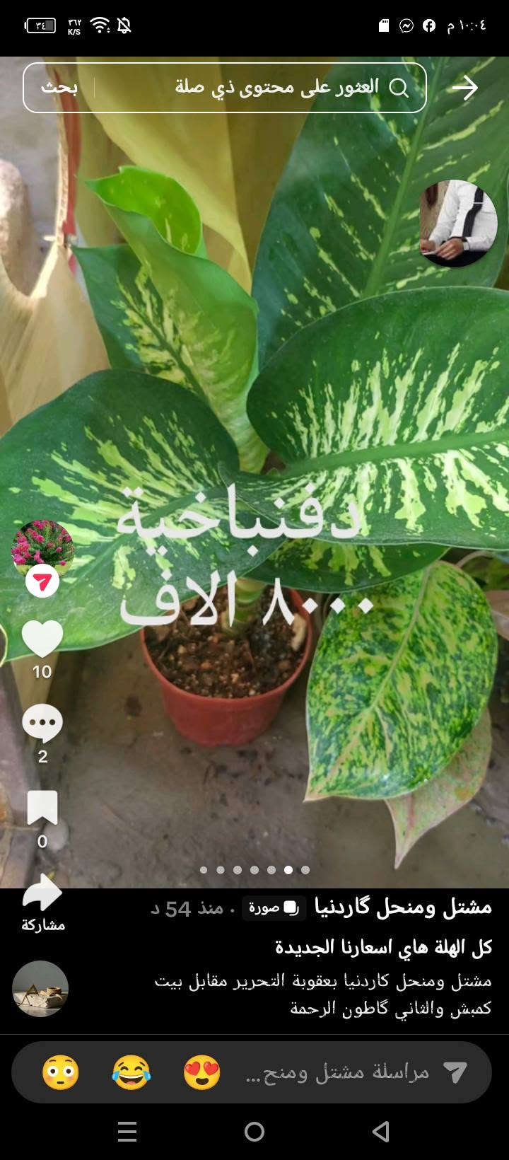 📍 زورونا في مشتل ومنحل كاردينيا
الموقع ديالى بعقوبه التحرير مقابل بيت كمبش والفرع الثاني بكاطون الرحمه للاستفسار الاتصال على الرقم ***********

نص مكتوب في الصور:
- بلاب متدلي
- ٦,٠٠٠ الاف
- سجاد الف دينار
- شمدوريا ١٢٠٠٠ الف
- كلونيما ٨٠٠٠ الاف
- مطاط ٧٠٠٠ الاف
- زنبق السلام
- ٨٠٠٠ الاف
- دفنباخية ٨٠٠٠ الاف
- بلاب عمودي ٩٠٠٠ الاف
- دفنباخية ٨٠٠٠ الاف مشتل ومنحل كاردنيا صورة منذ 54 د كل الهلة هاي اسعارنا الجديدة مشتل ومنحل كاردنيا بعقوبة التحرير مقابل بيت كمبش والثاني كاطون الرحمة مراسلة مشتل ومنح...