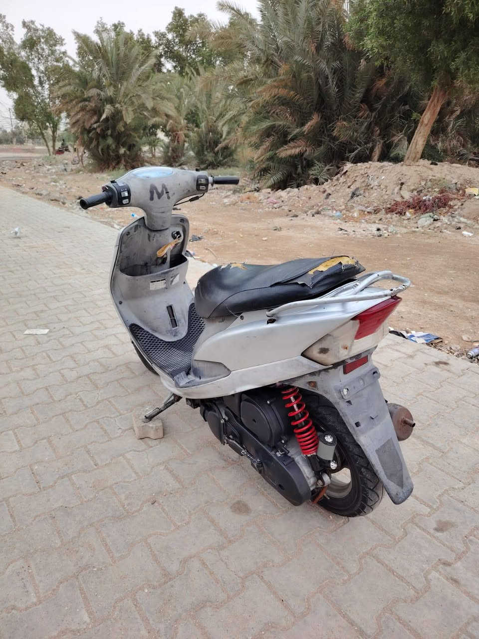 ماكس منغولي • نضيفه • نجف