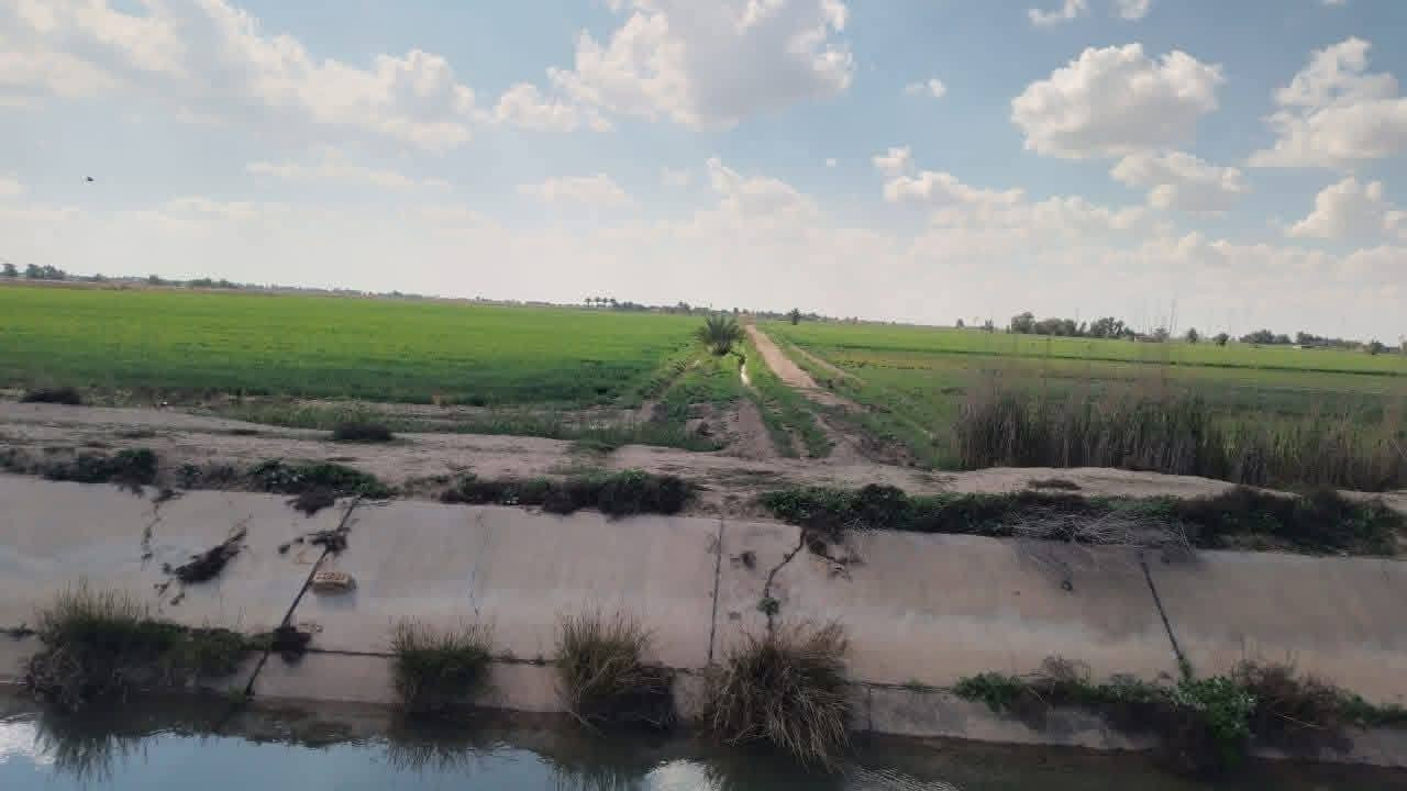 ٥ دوانم • العيساوية • مزارع استثمار