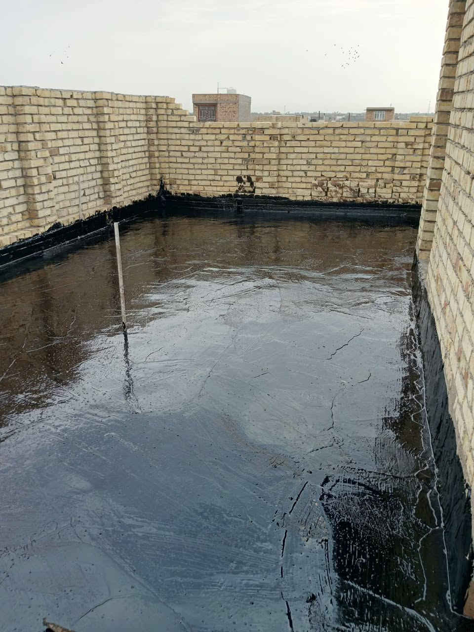 انشاءات • تواصل واتساب