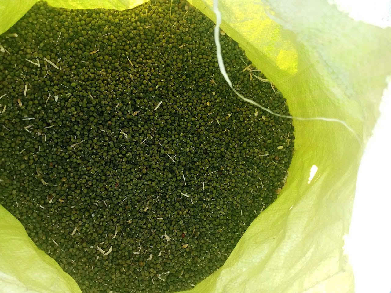 بزر • فلاح • قضاء الصويره