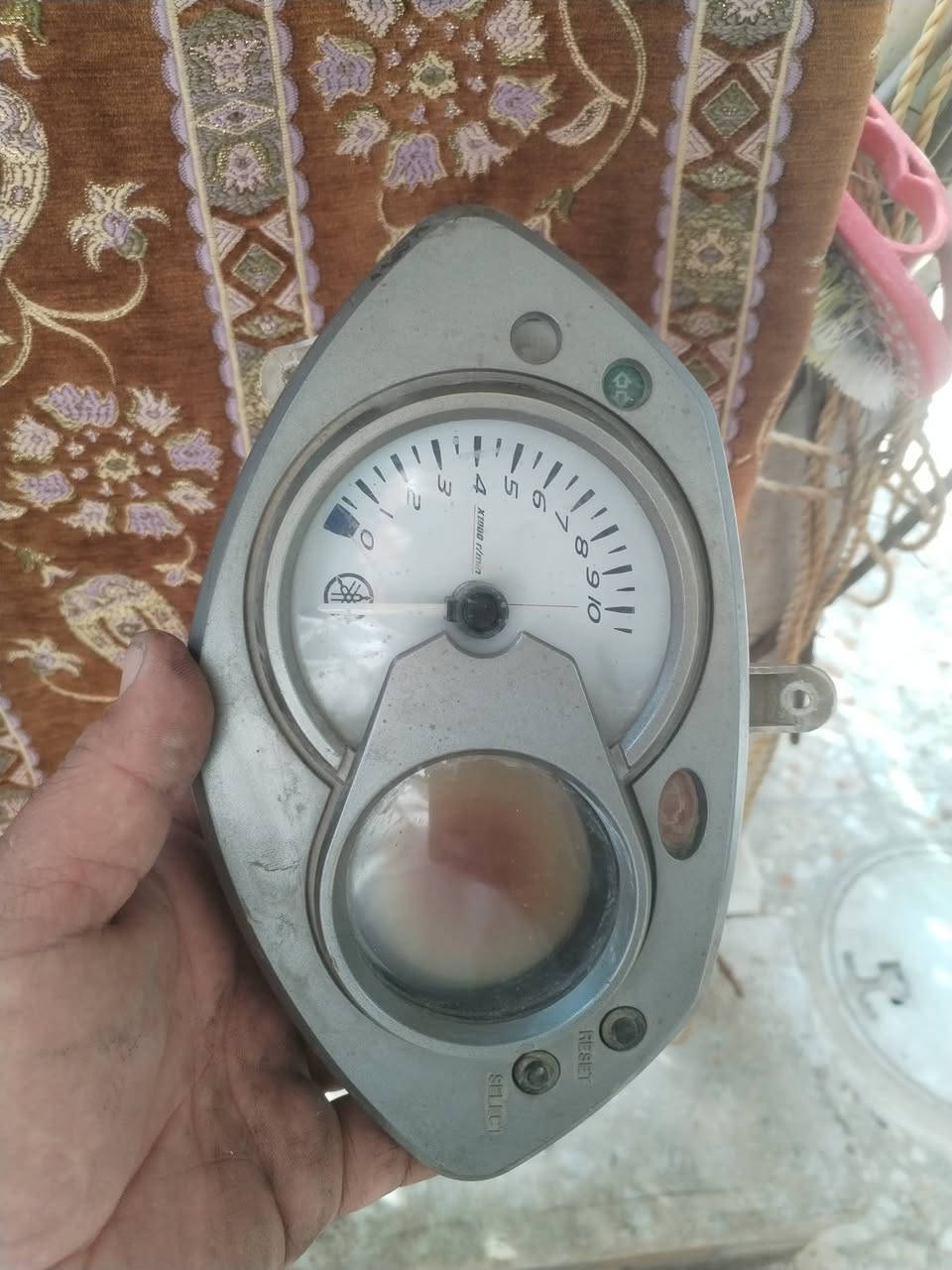 سكنس • فحل • بغداد الجديده