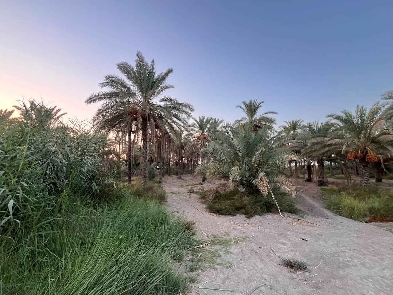 🔥 فرصة استثمارية مميزة | 6 دونم للبيع

📍 الموقع: طريق أبو الجاسم
🚗 تبعد فقط 100 متر عن الشارع العام

🌱 مساحة 6 دونم، مناسبة لـ:
🏭 معمل أو مشروع صناعي
🌴 مزرعة واستراحة
🌾 مشروع زراعي
🏗️ مشروع استثماري

💰 سعر الدونم: 37 مليون دينار

قابل للتفاوض

📞 للاستفسار والتفاصيل:
** | السيد للعقار**
📱 ***********
