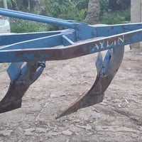 فدان • ١٢ نخلة • سججه