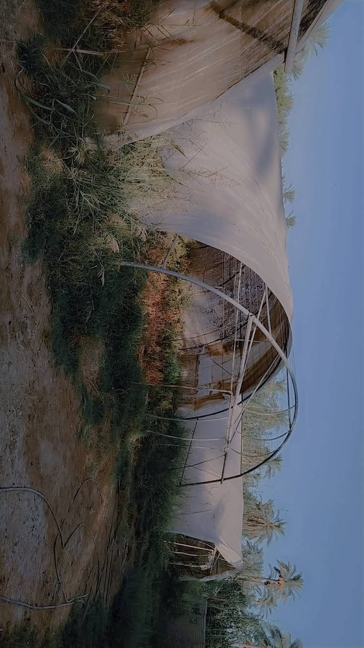 السلام عليكم ابيوت زجاجية للبيع العدد 3 اردني درجة اولى مقلون 24 قوس استندر كاملات لايلون جديد +صوندات +موطور جديد السعر مراسله الصفحة او الإتصال على هذا الرقم ***********
