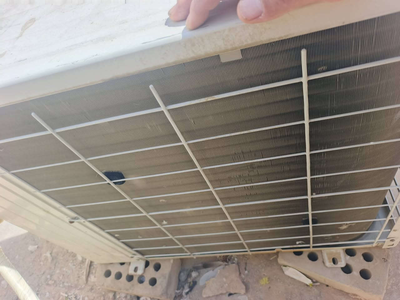 سبلت طنين فرش للبيع القطعة الخارجيه يورك شرط الشغل  تجي تفحص ياله تاخذ  السعر ٣٠٠الف  كربلاء حي المهندسين
تلفون ***********
سبلت طنين فرش للبيع القطعة الخارجيه يورك شرط الشغل  تجي تفحص ياله تاخذ  السعر ٣٠٠الف  كربلاء حي المهندسين
