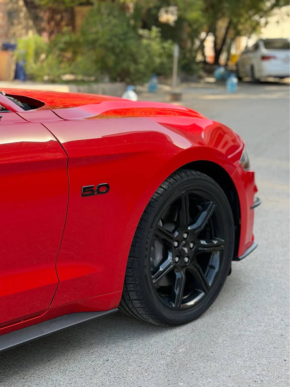 للبيع: فورد موستنك GT Premium موديل 2019 (خليجي) مكفوله كفالة عامة من كلشي 

* موديل: 2019
* الفئة: GT Premium
* وارد خليجي
* ممشى: 42,000 كم فقط
* محرك 5.0 لتر V8 تنفس طبيعي
* قوة 460 حصان
* ناقل حركة أوتوماتيك 10 سرعات
* دفع خلفي (RWD)
    (خمس وضعيات قياده)
     (اكتف اكزوز)
المواصفات:

* عدادات رقمية دجيتال (Digital Cluster)
* داخلية Premium مع إنارة داخلية متعددة الألوان (Ambient Lighting)
* مقاعد جلد كهربائية مع تدفئة وتبريد
* شاشة SYNC 3 مع Apple CarPlay وAndroid Auto
* تشغيل ذكي (بصمة) مع مفتاح ذكي
* كاميرا خلفية مع حساسات
* اختيار أوضاع القيادة (Normal / Sport+ / Track / Drag / Snow-Wet)
* إضاءة LED أمامية وخلفية
* جنوط أصلية

السيارة نظيفة جداً، ممشاها قليل، والفحص خير دليل.
للاستفسار والمعاينة التواصل على الواتساب او اتصل على رقم 
*********** بعقوبة, ديالى
