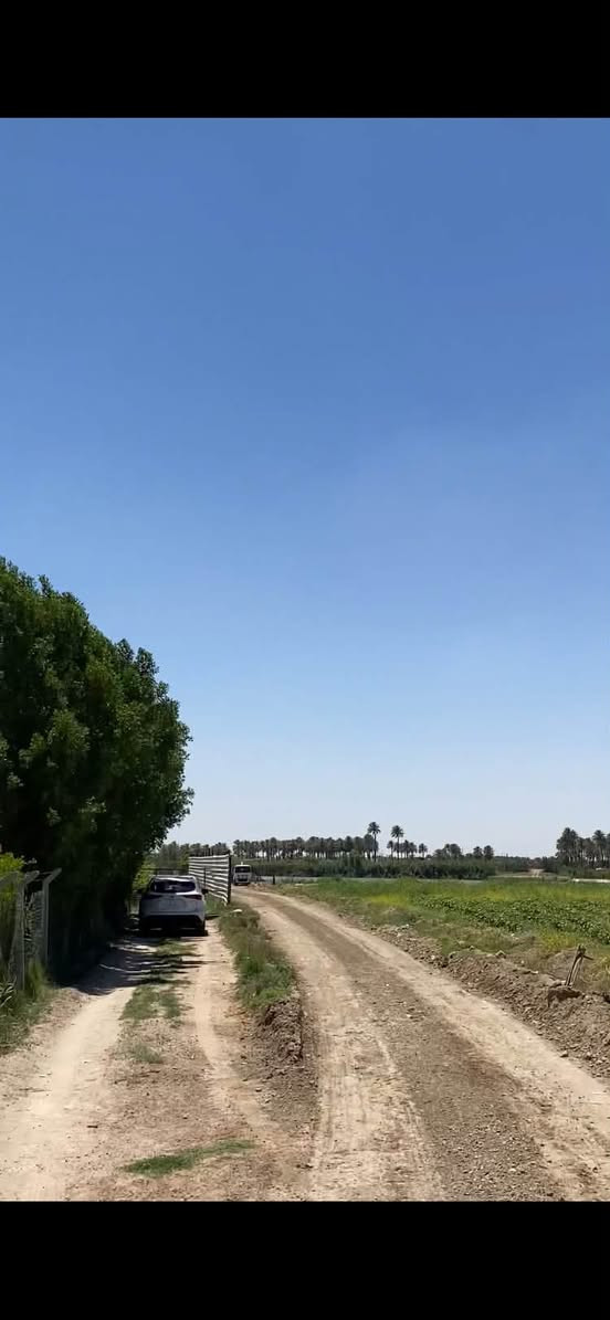 الصقلاويه • ١٣٠٠م • ٥٠م عن النهر