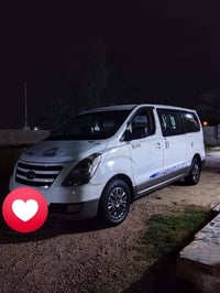 ستاركس • ٢٠١٣ • الرمادي