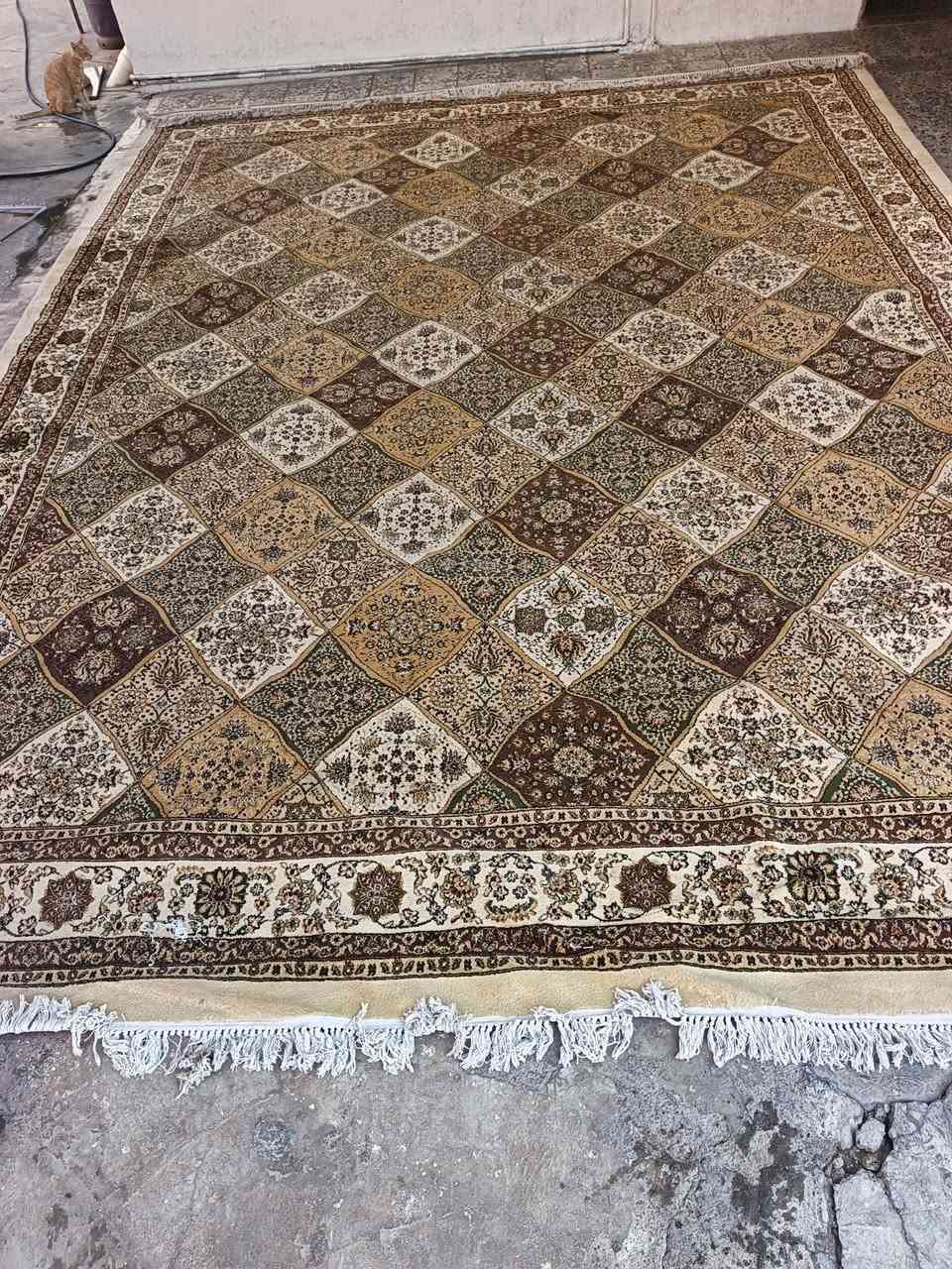 السلام عليكم زوليه للبيع وبيها عيب بصيط جدا فقط مال قوري ***********حجمها كبير تكريت
