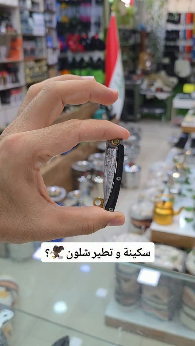 سكينة مداليه • مندوبيين • كركوك