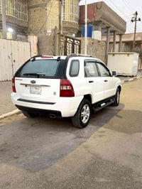 سبورتج كوري • دواخل جلد • صبغ ضربة