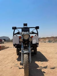 ستوته • ٢٠١٩ • ركبه شرط