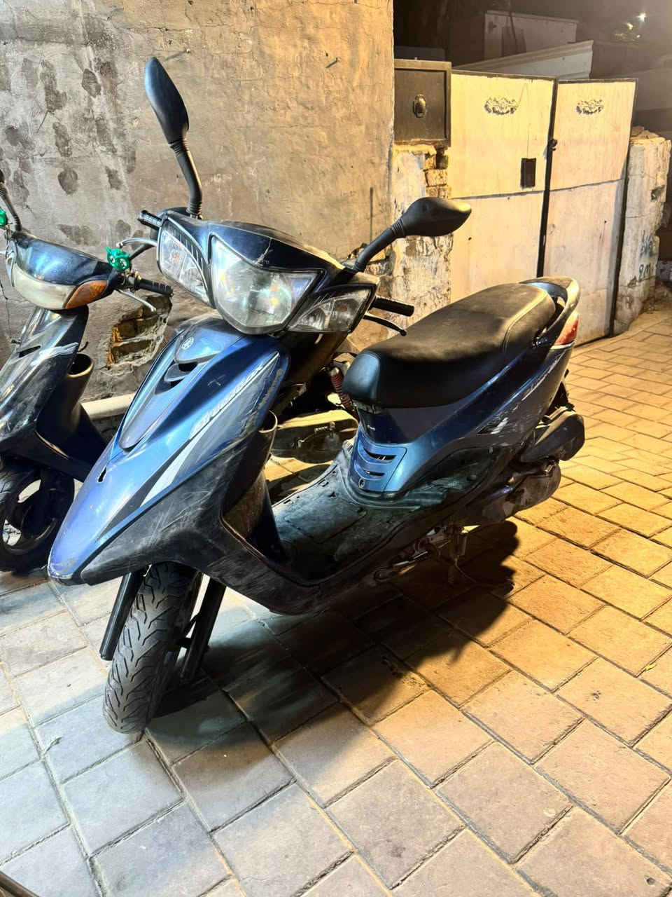 ببغاء نوزل • نضيفه • تايرات جدد