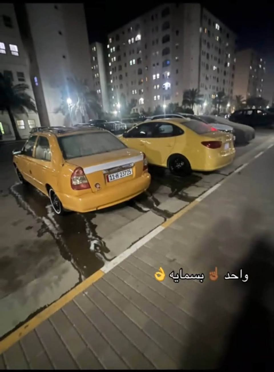 فيرنا • ٢٠١٤ • بسمايه