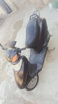سبيسي • ماليزي • شغالة
