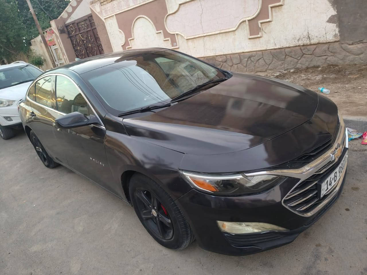 ماليبو • ٢٠٢٢ • رقم بصره