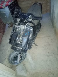فراشه • رقمي