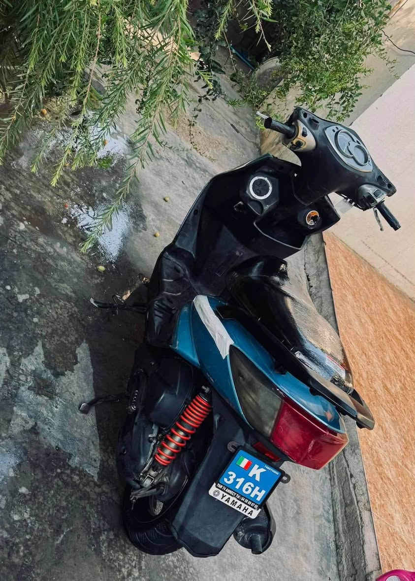 سكنس فحل • معدل • نظافة ٨٠٪
