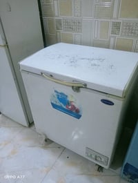 مجمدة • شغالة • كربلاء الرووظتين