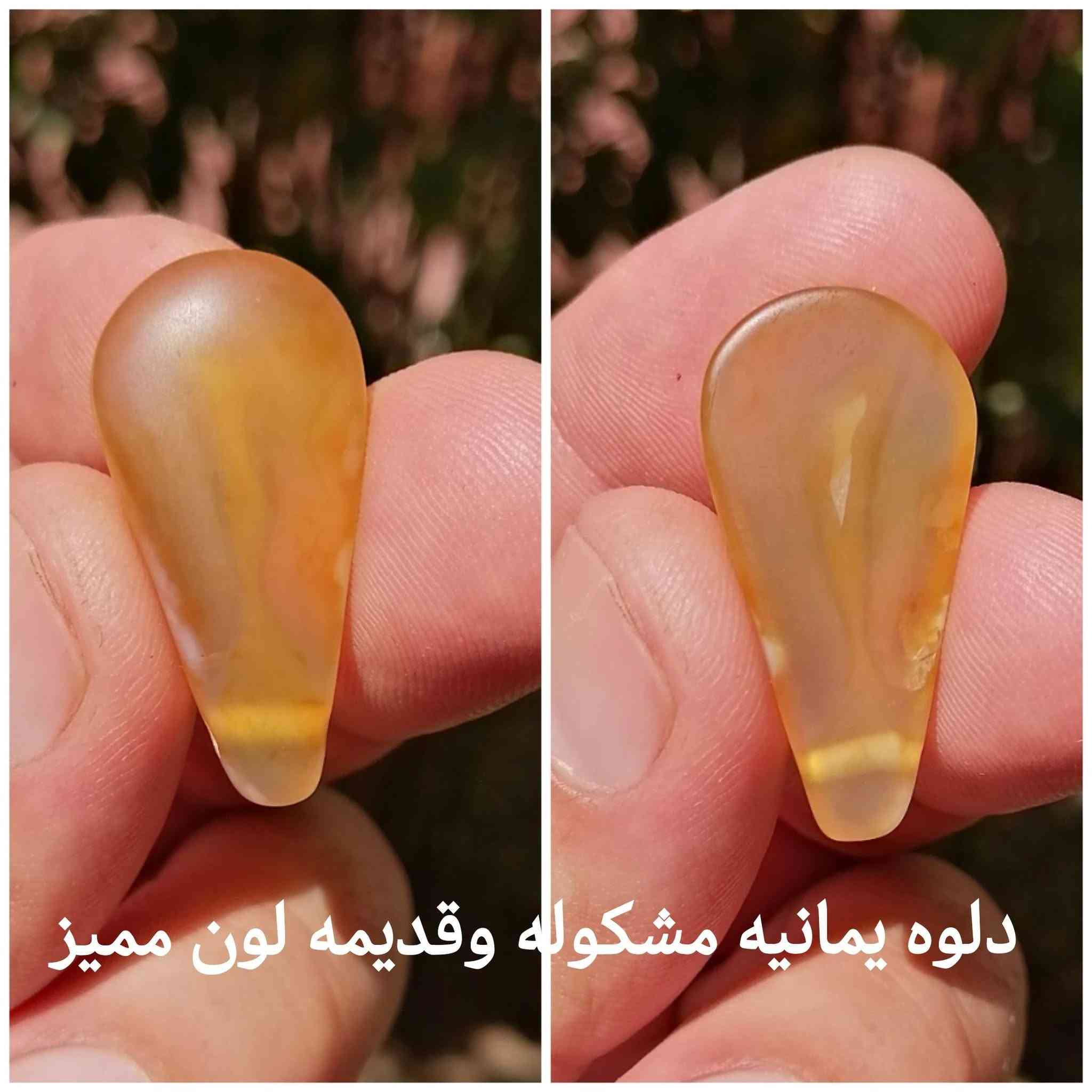 شفت العبد • دلوعه يمانيه • در نجفي