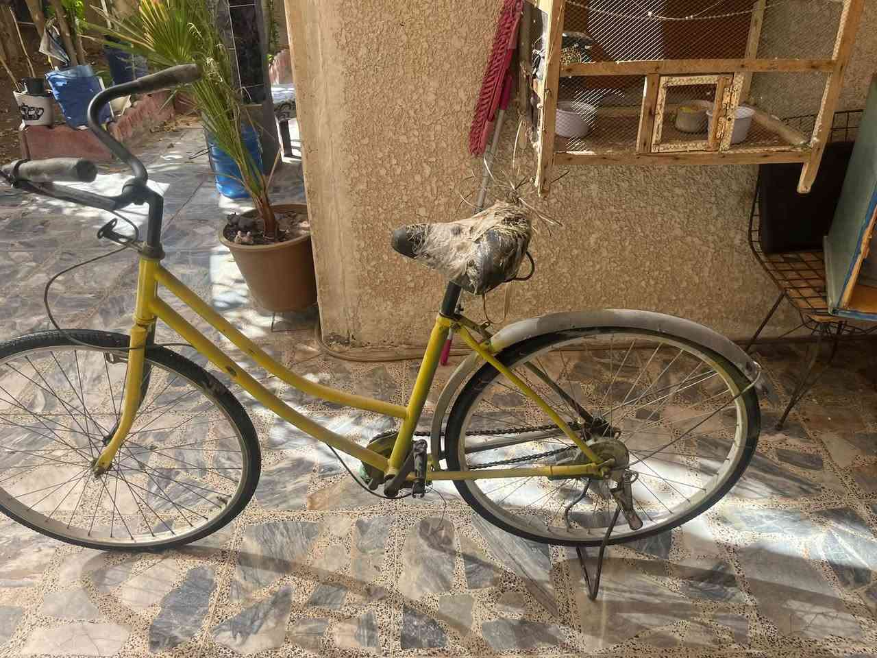 السلام عليكم ورحمة وبركاته بايسكلات ثنين بناتي وجبلي مهجن يعني سريع وجبلي الجبلي ما بي بريكات سعرهم ثنينهم رايدهم ب ٦٠ وبيهن مجال مكاني بغداد المو شراي لا يدخل ويتعب نفسه واتساب  ***********
