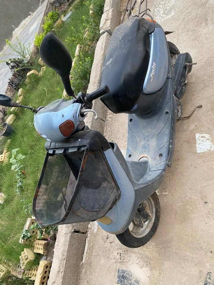 منغولي • جاهزه