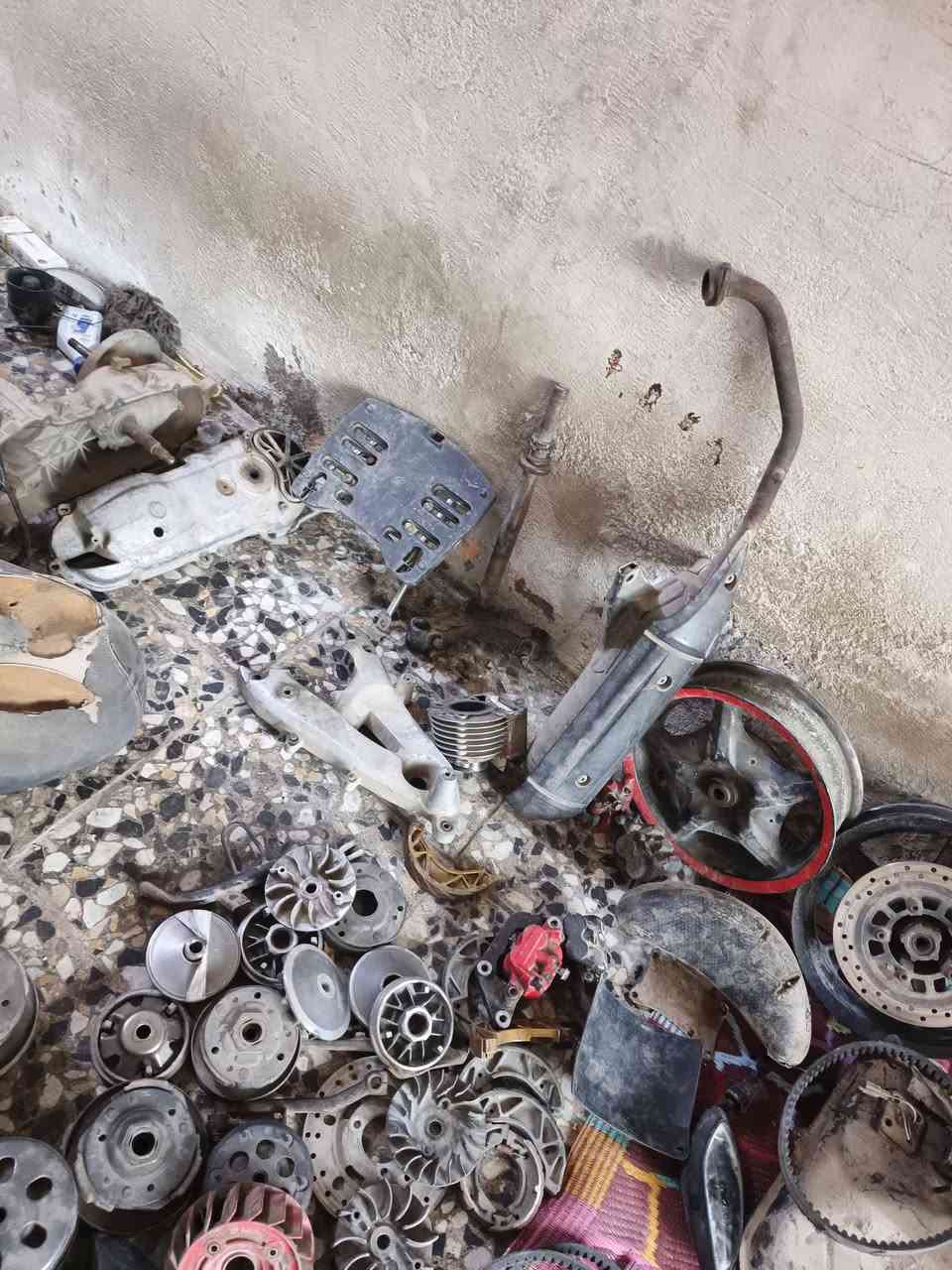 تفصيخ سكنز فحل ونثيه بغداد مدينة الصدر وهذا رقمي ***********
