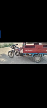 ستوته • مكفوله • سعر خاص