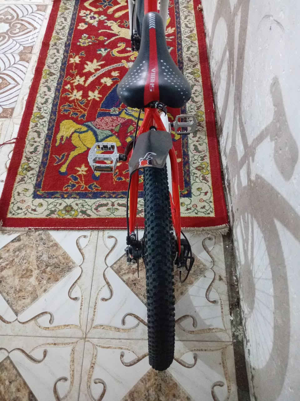 الباسكل البيع ما مستعمل هواي ونضيف رقم صاحب الباسكل  *********** هاذه
