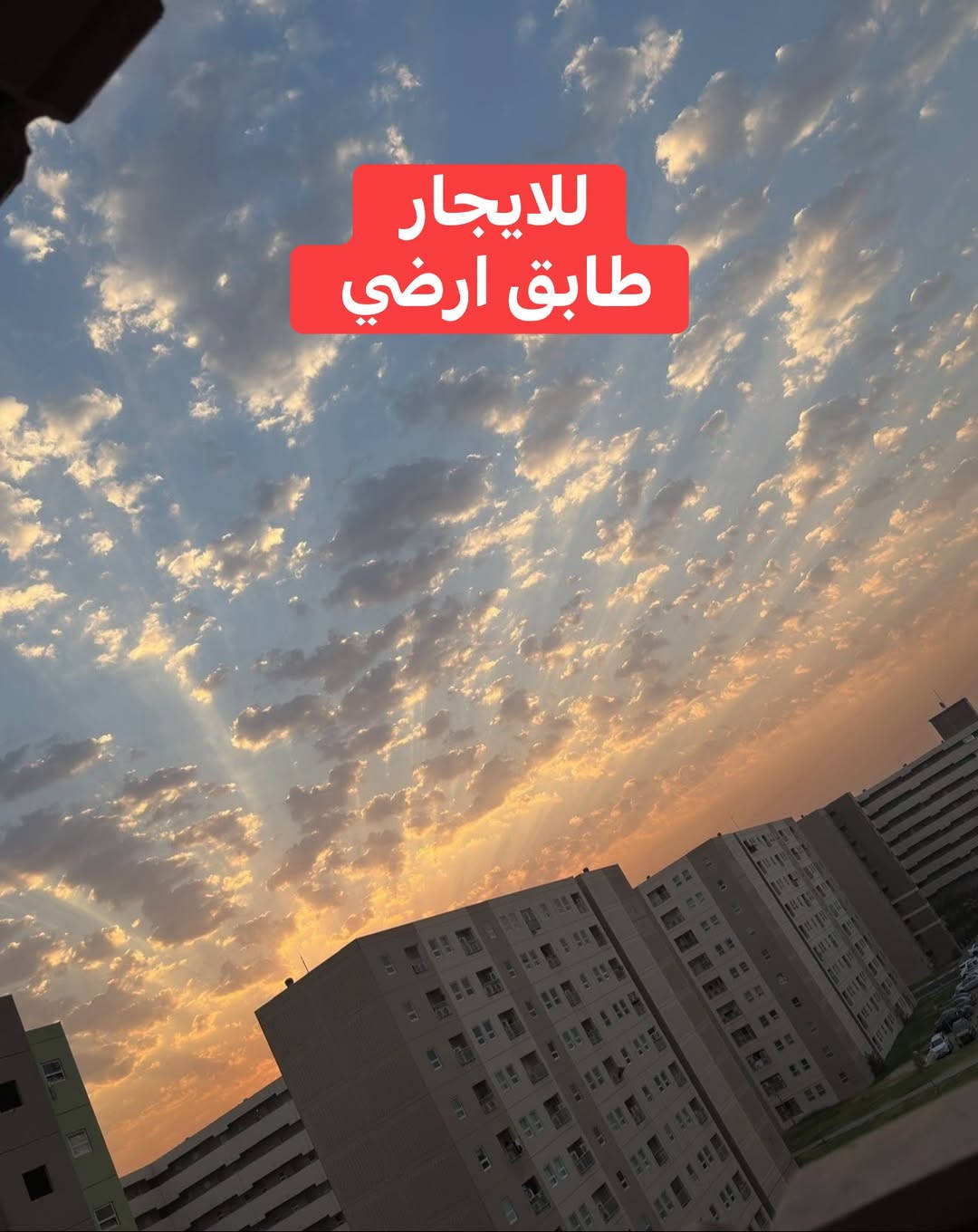 شقة • ١٠٠م • طابق ارضي