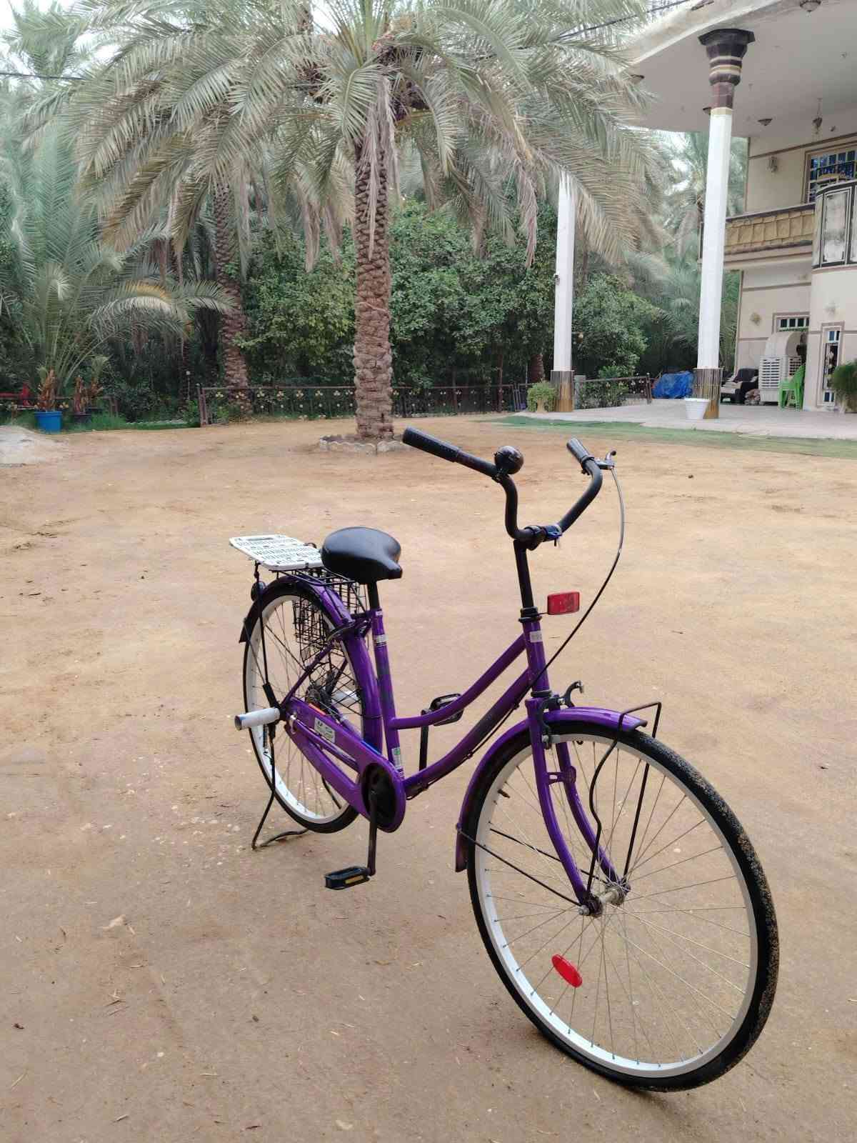 بايسكل • حجم ٢٦ • بنفسجي