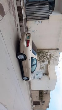 مازده فاسوليا • ١٩٩٤ • واتساب