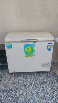 مجمده • شغاله • تجمد