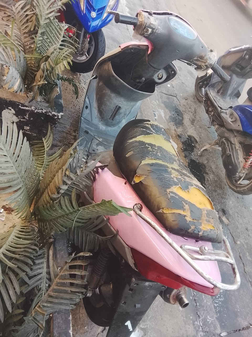السلام عليكم عندي ماكس منغولي مجفتع وناقصهه بس كابريتي وباتري***********
